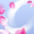 d08c784219b7c264735606eee3251a86