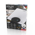 ad_3173w_6.jpg