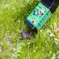 pulapka-na-myszy-zywolapka-730406_b.jpg