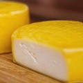 kultury-bakterii-do-sera-gouda-411242_2.jpg