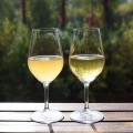 klarowin-srodek-klarujacy-10-g-wino_klarowanie_1.jpg