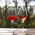 klarowin-srodek-klarujacy-10-g-wino_klarowanie_2.jpg