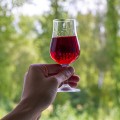 klarowin-2-srodek-klarujacy-klarowne_wino.jpg