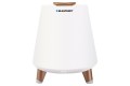 bt25lamp.jpg