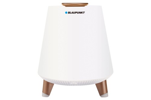 bt25lamp.jpg