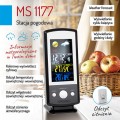 ms_1177_7.jpg