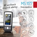 ms_1177_9.jpg