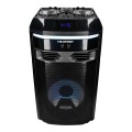 Blaupunkt_PS6_10.jpg