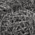 341901-2.png