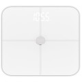 ad_8187w.jpg