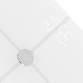 ad_8187w_2.jpg