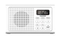 BLAUPUNKT-DR3WH-2.jpg