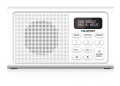 BLAUPUNKT_DR3WH_02.jpg