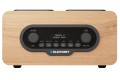 BLAUPUNKT-DR10cr-1.jpg