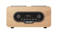 BLAUPUNKT_DR10CR_05.jpg