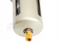 FILTR SPRĘŻONEGO POWIETRZA 1/2'' 10 BAR ODWADNIACZ SEPARATOR AIRPRESS 45233